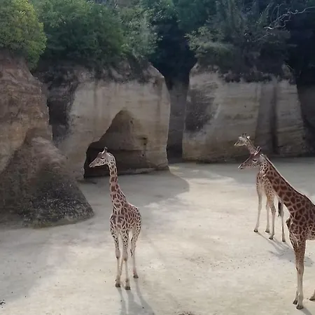 Oda ve Kahvaltı Saumur Loire Et Vernantes
