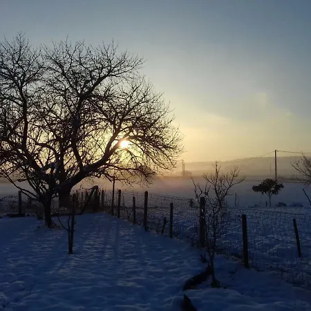 Saumur Loire Et Oda ve Kahvaltı