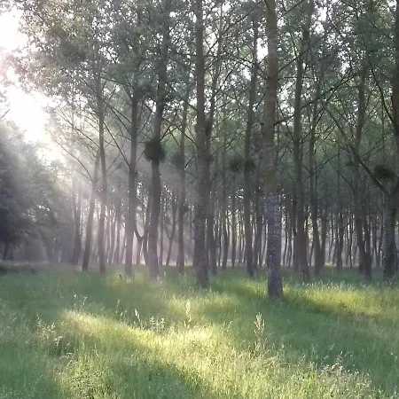Отель типа 