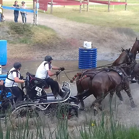Oda ve Kahvaltı Saumur Loire Et Vernantes